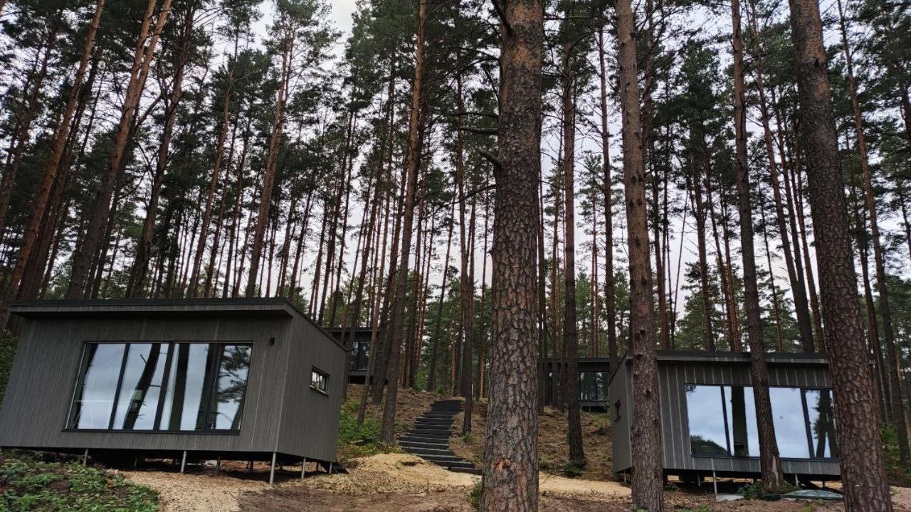 Gaujaclub - Our Bose And Bang&Olufsen Lofts On A Lake Gauja  Exteriör bild