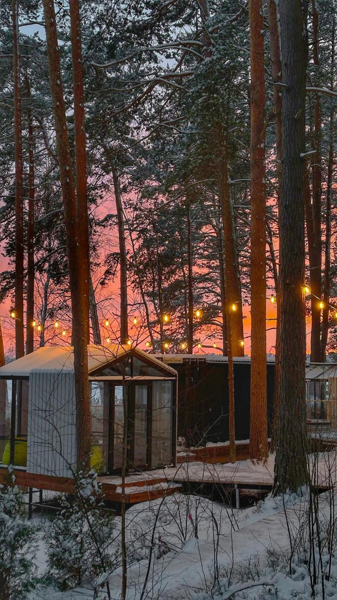 Gaujaclub - Our Bose And Bang&Olufsen Lofts On A Lake Gauja  Exteriör bild