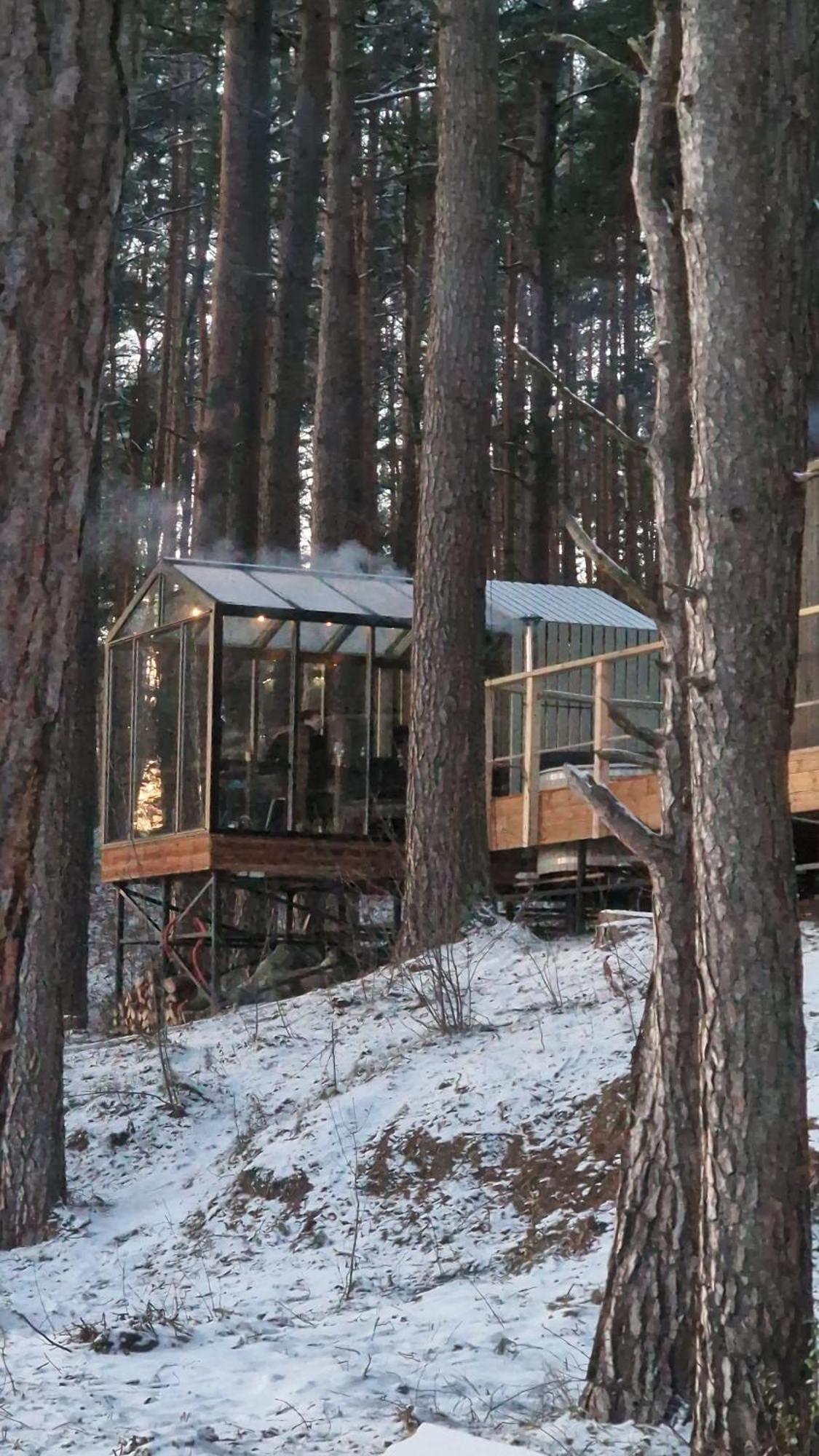 Gaujaclub - Our Bose And Bang&Olufsen Lofts On A Lake Gauja  Exteriör bild
