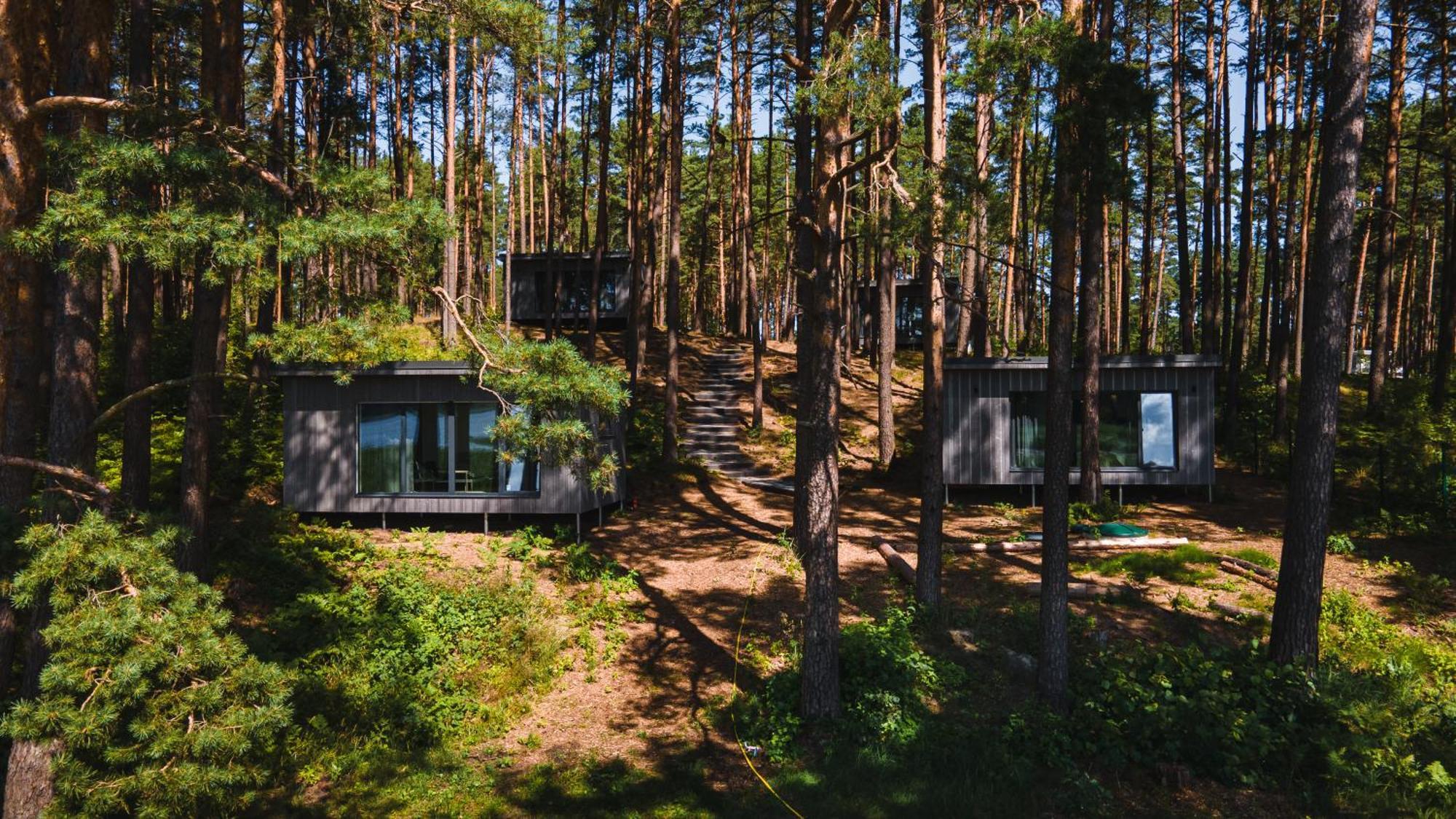 Gaujaclub - Our Bose And Bang&Olufsen Lofts On A Lake Gauja  Exteriör bild