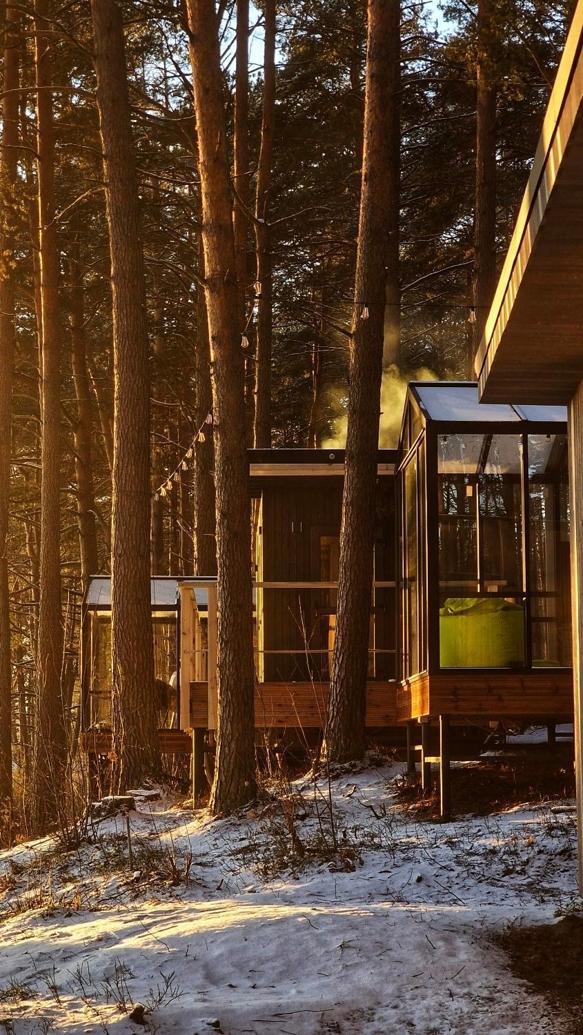 Gaujaclub - Our Bose And Bang&Olufsen Lofts On A Lake Gauja  Rum bild